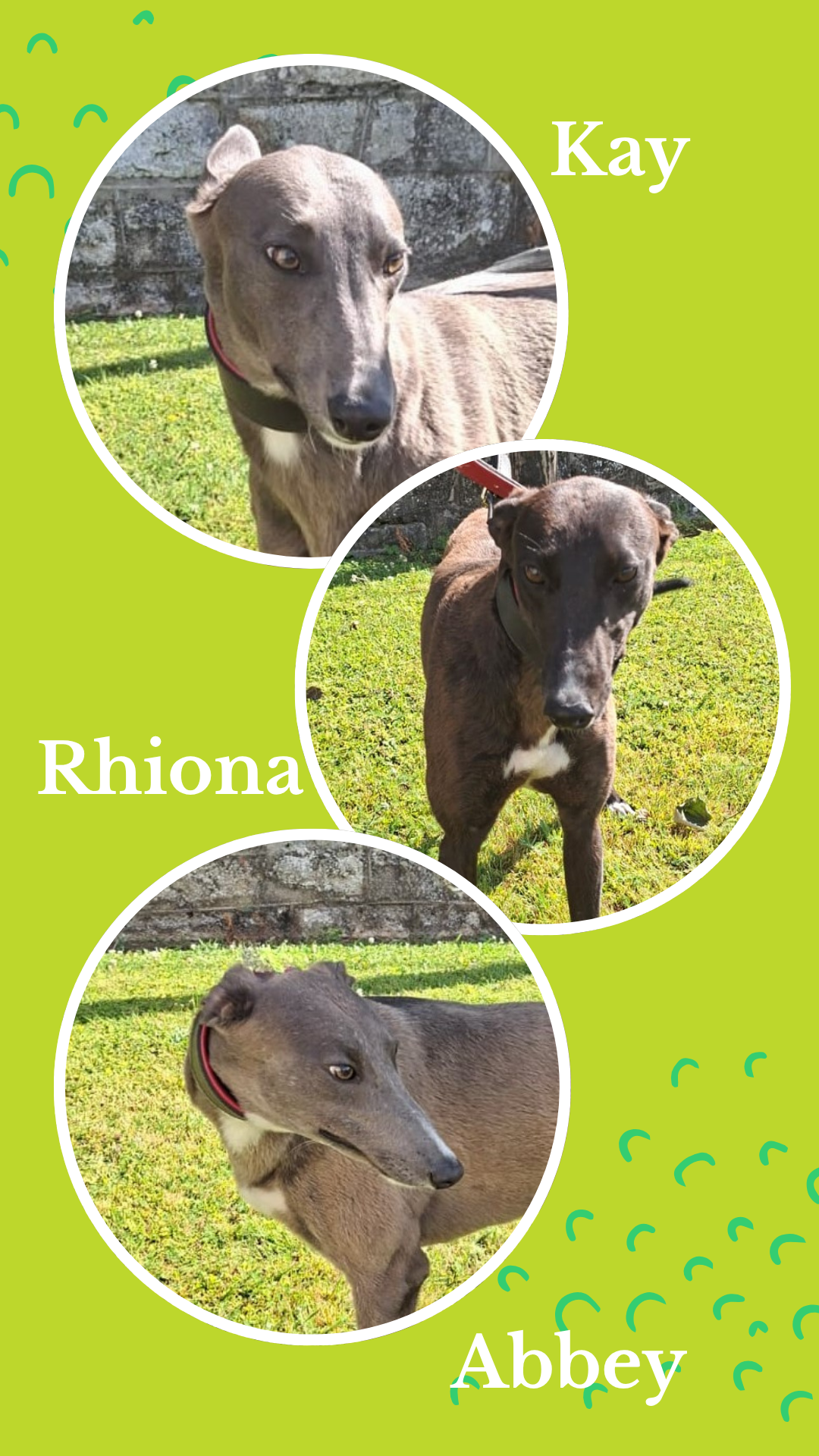 Kay,Rhiona,Abbey
