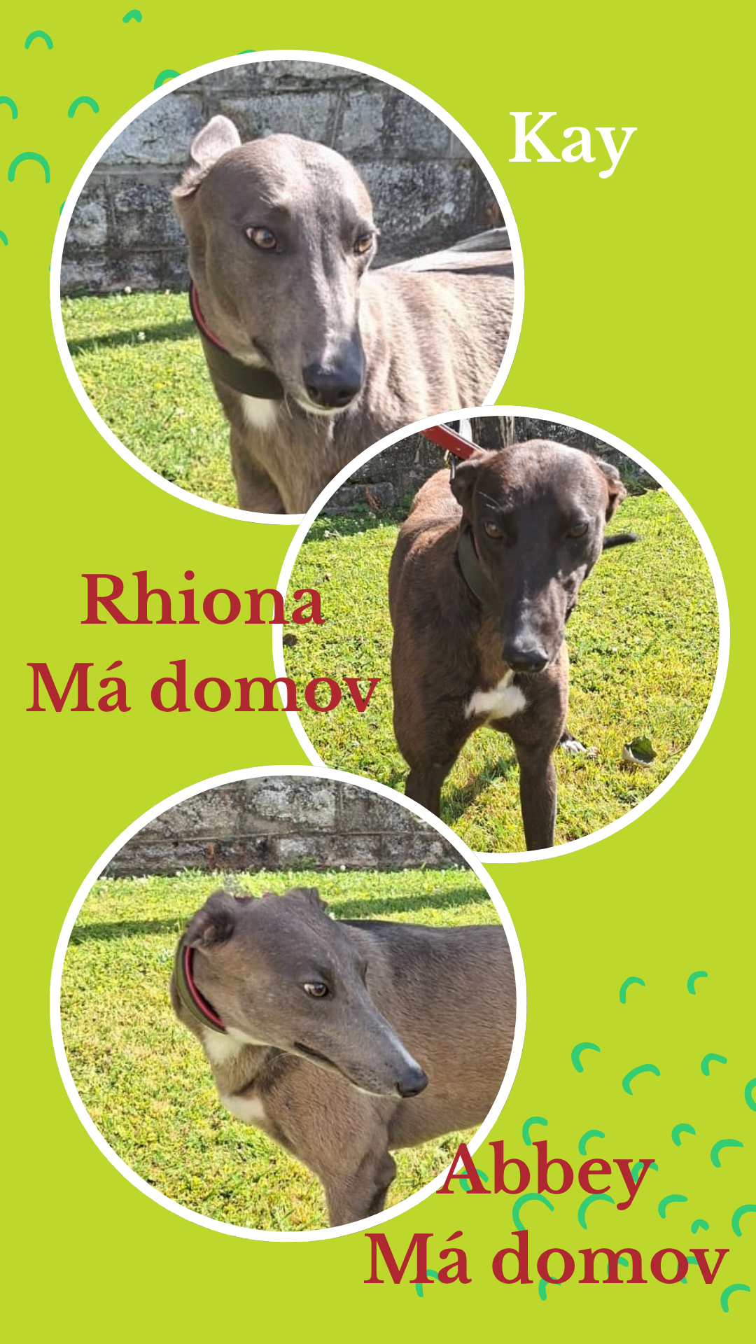 Kay,Rhiona,Abbey
